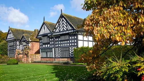 Black and white Tudor hall with autumn tree to the right
